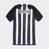 Camisetas Atlético Mineiro Primera 2024-25 - Hombre